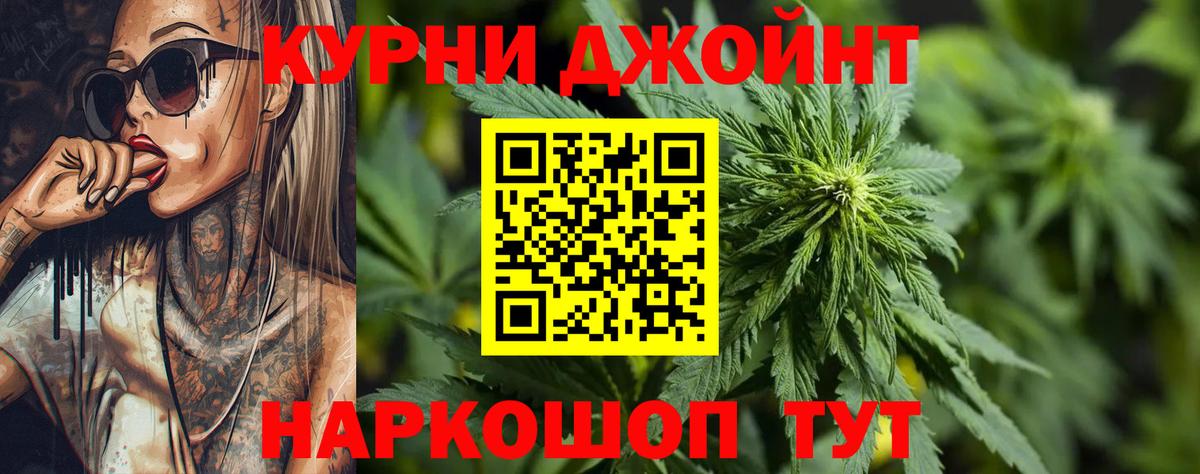 МАРИХУАНА сатива Строитель